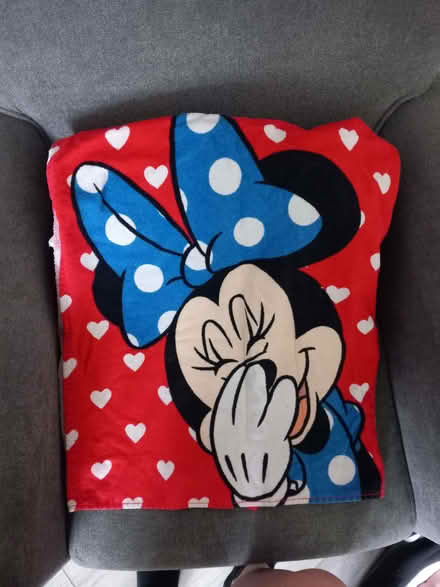 Photo of free Towel (Carlton NG4) #3