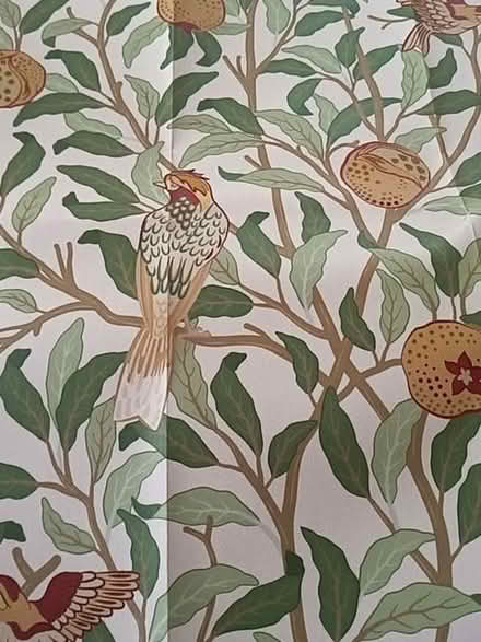 Photo of free Wallpaper remnants (Sherrard's Green WR14) #1