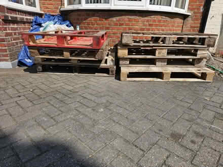 Photo of free Pallets (SM3) #1