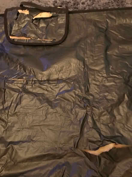 Photo of free Fold and portable picnic blanket (Reading West RG1) #2