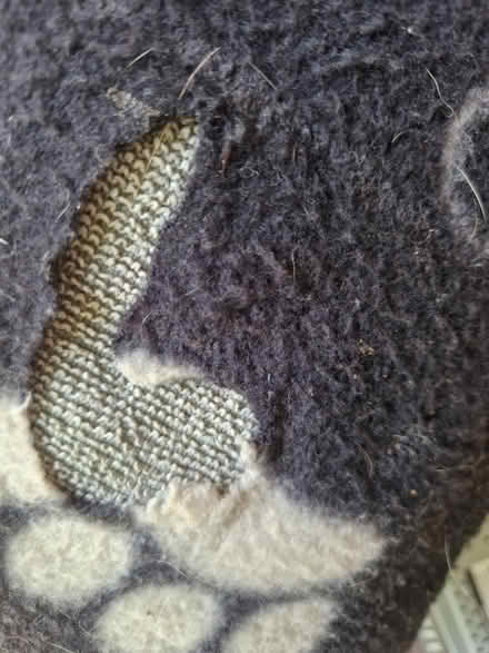 Photo of free Dog cushion (Broxbourne EN10) #2