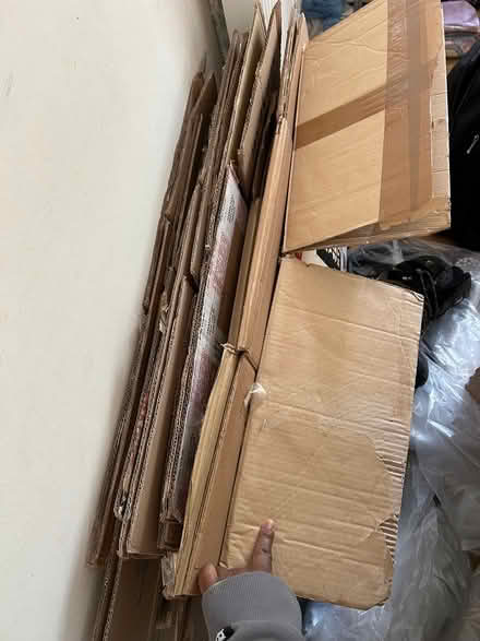 Photo of free Moving boxes (Edgware) #1