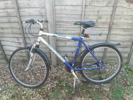 Photo of free Mountain Bike (Rockland St Mary, NR14) #1