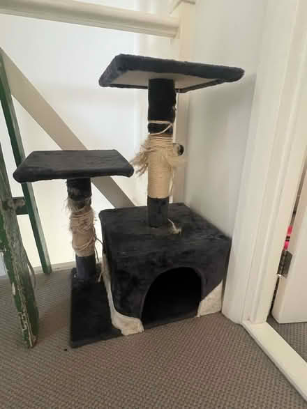 Photo of free Cat scratcher shelves (Hawley) #2