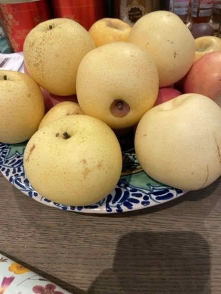 Photo of free Japanese pears (Shotover OX3) #1