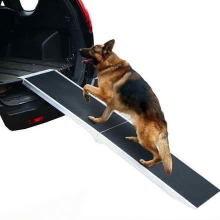 Photo of Dog ramp (Barclay Hills BB11) #1