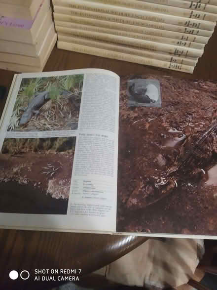 Photo of free Set of Animal encyclopedias (Weston SO19) #3