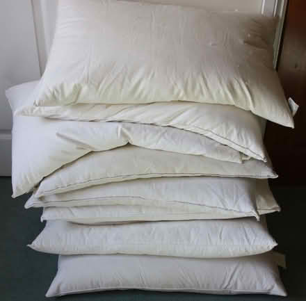 Photo of free Feather pillows (Brimfield SY8) #1