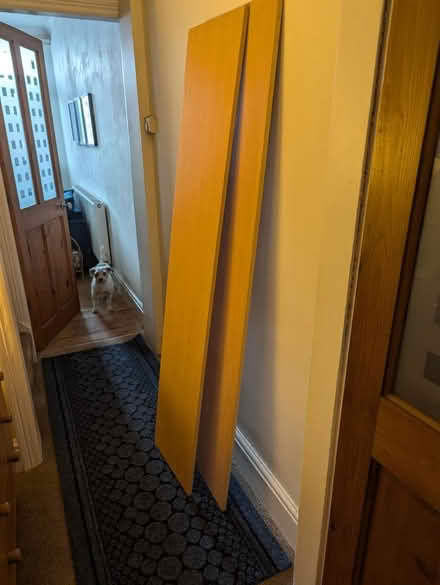 Photo of free 2 x pieces of wood (S13, Woodhouse) #1