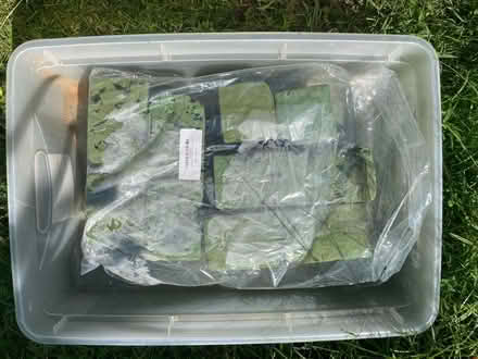 Photo of free Green flower arranging stuff (West acton) #1