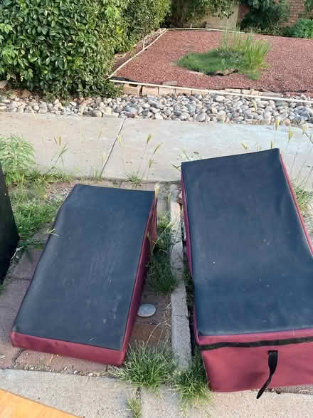 Photo of free Dog Assistance Ramps (Tramway/Copper) #2