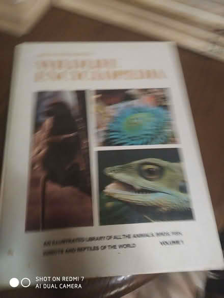 Photo of free Set of Animal encyclopedias (Weston SO19) #2