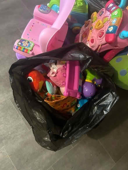 Photo of free Children bits and bobs (Bechstein meadow) #4