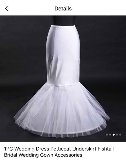 Photo of free Brand new underskirt (Stepney E1) #1