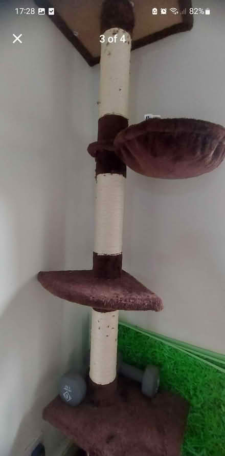 Photo of free Cat tree (M8) #4
