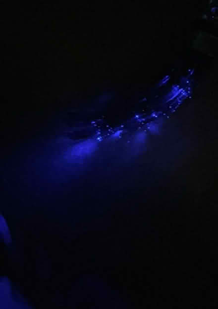 Photo of free Harry Potter flying broomstick (SE24 Herne Hill) #1