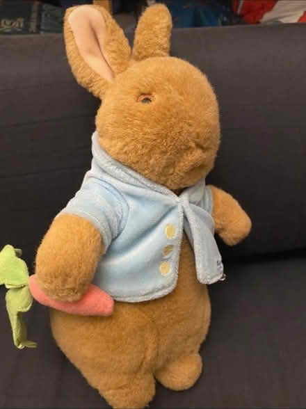 Photo of free Peter Rabbit soft toy (Norbury) #1