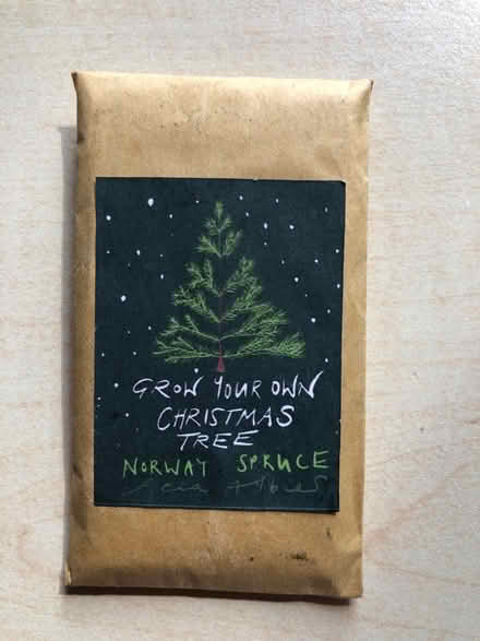 Photo of free Seeds (Etwall) #1