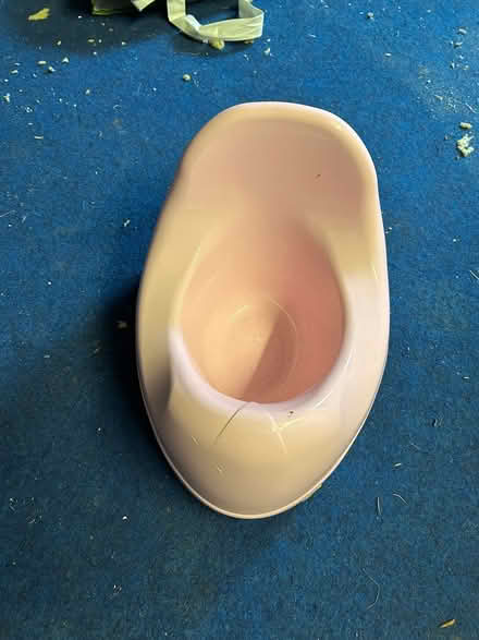 Photo of free Pink potty (Montrose Ave Welling) #2