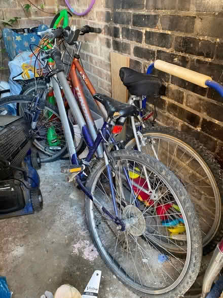 Photo of free Bicycles (Maidenhead SL6) #1