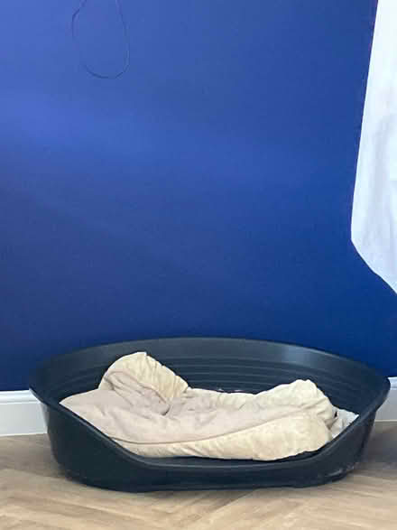Photo of free Large black plastic dog bed (S44) #1