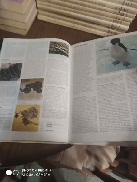 Photo of free Set of Animal encyclopedias (Weston SO19) #4