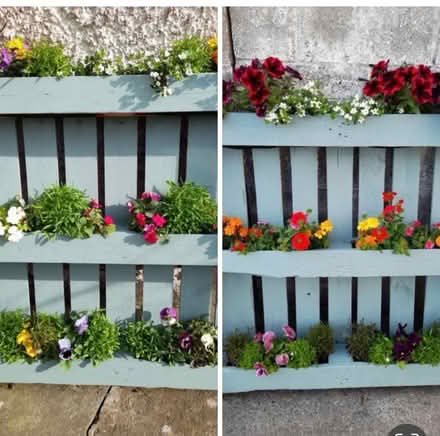 Photo of free Pallet ... can convert to flower pot (Dublin 18) #2