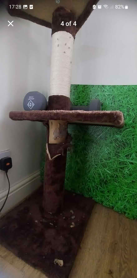 Photo of free Cat tree (M8) #3
