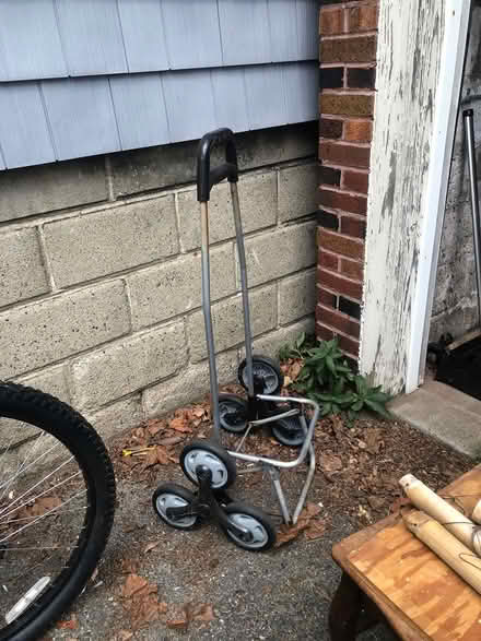 Photo of free Grocery Cart/Shopping Trolley (East Watertown) #2