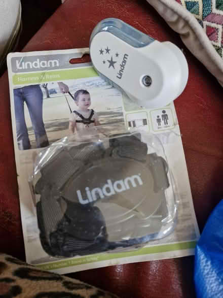 Photo of free Lindam reins unopened, + nightlight (SK14) #1