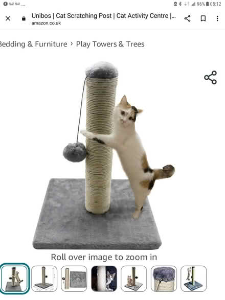 Photo of Cat scratching post (L12 West Derby) #1