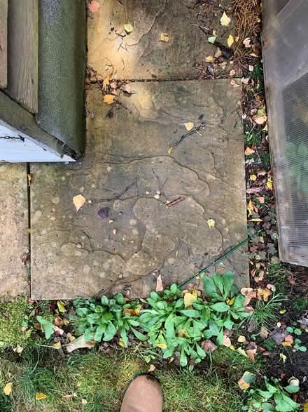 Photo of free Patios slabs (Witney OX28) #1