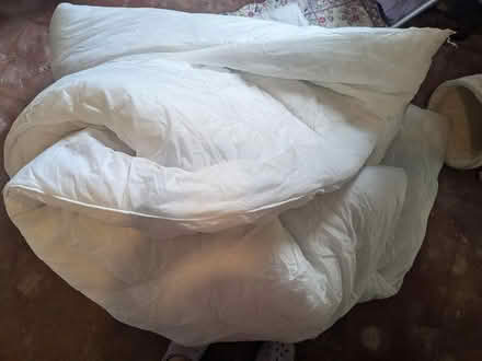 Photo of free Two duvets (Long Eaton NG10) #2