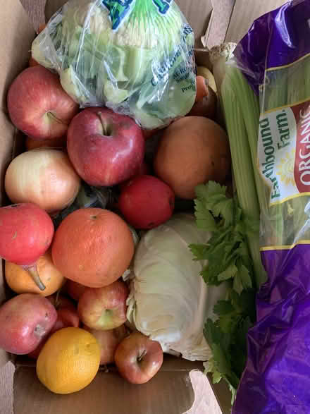 Photo of free Produce (Los Altos) #1