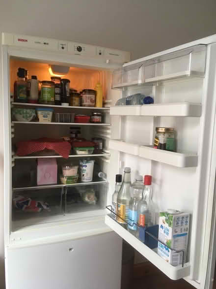 Photo of free Fridge freezer (Shrewsbury, Belle Vue) #2