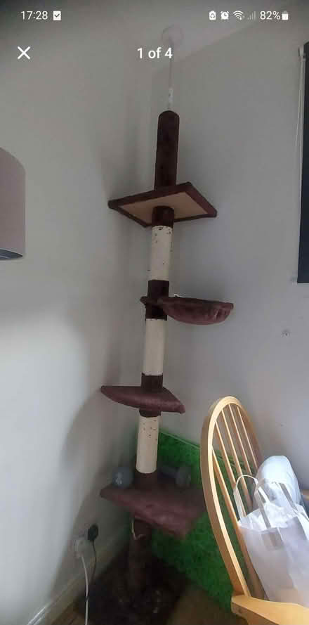 Photo of free Cat tree (M8) #1