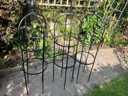 Photo of free Garden obelisks (Seaside BN22) #1