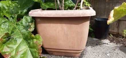 Photo of Plant pot, real terracotta or plastic terracotta (Ormskirk L39) #1