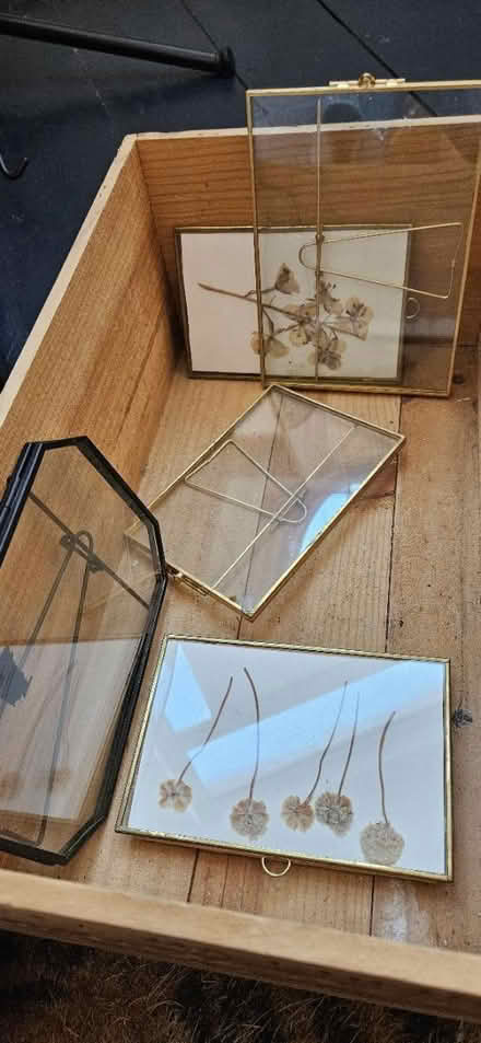 Photo of free 5 small frames (Wavertree) #1