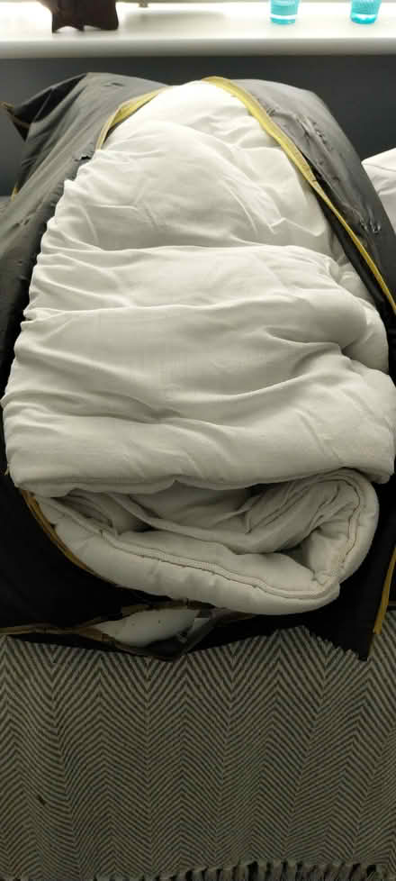Photo of free Duvet (Bedhampton PO9) #1