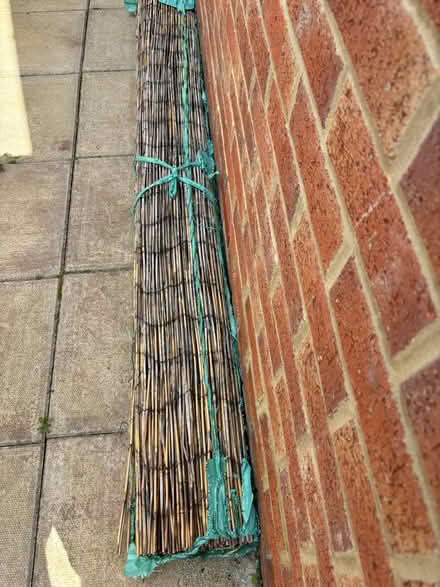 Photo of free Bamboo Screening (Blakelaw, NE5) #1