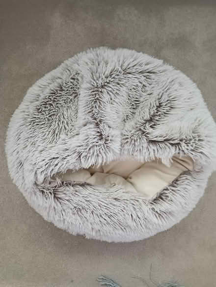 Photo of free Cat bed/cave in great condition (W5) #1