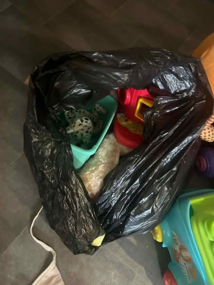Photo of free Children bits and bobs (Bechstein meadow) #2