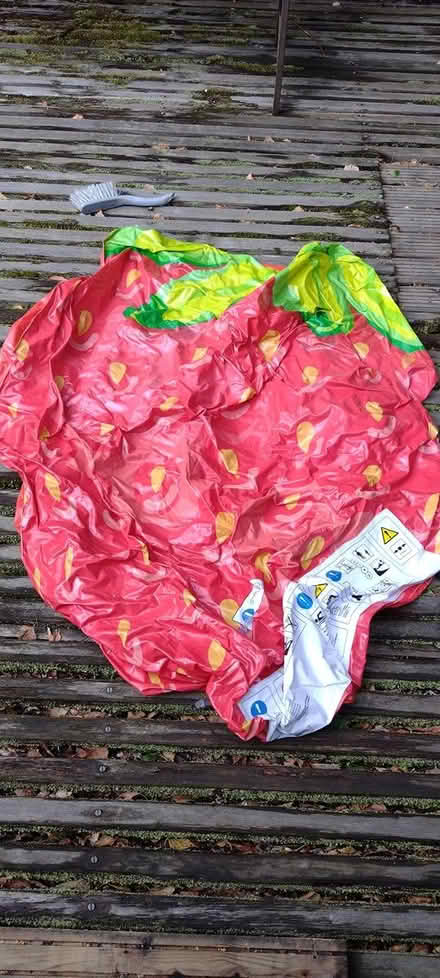 Photo of free Inflatable lilo strawberry (Arboretum, NG1) #1