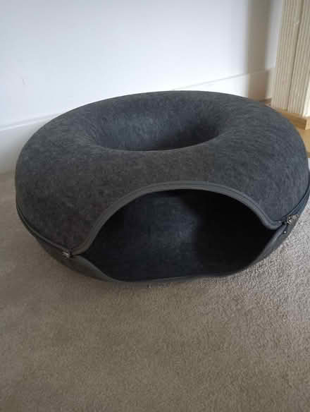 Photo of free Cat "donut" dark grey (W5) #1