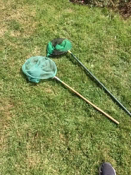 Photo of free Fishing or butterfly nets (Abraham Heights LA1) #1