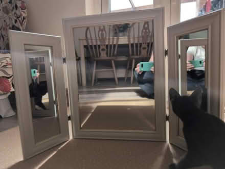 Photo of free Vanity mirror (New Brighton) #2