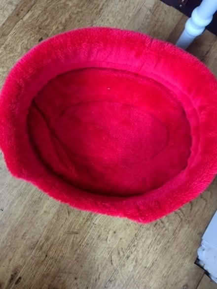 Photo of free Pet bed (Oadby LE2) #1