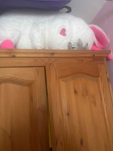 Photo of free Giant Unicorn (Staines upon thames) #2