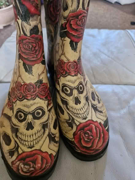 Photo of free Wellies skull and roses (SK14) #1